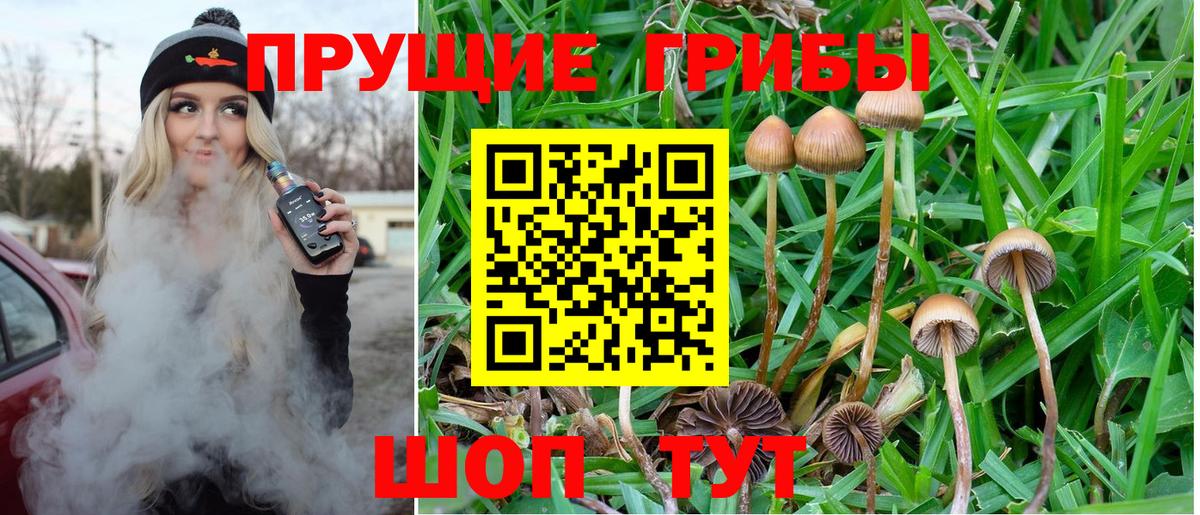 Галлюциногенные грибы MAGIC MUSHROOMS  Октябрьский  Галлюциногенные грибы Magic Shrooms 